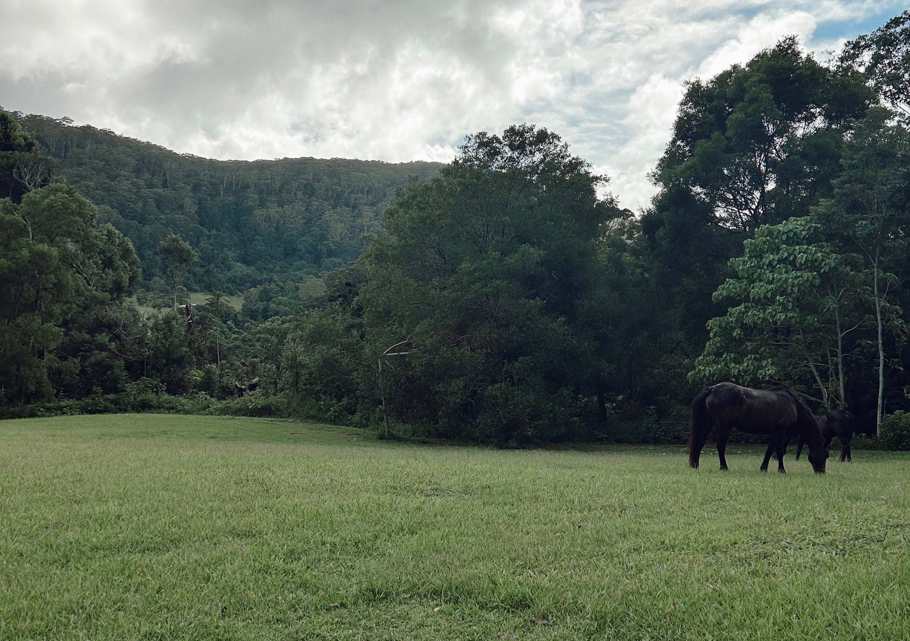 . Behind the Scenes of Isla Skies - Heartland Magic in Wilsons Creek .