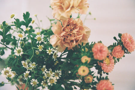 . Collection 05 .
