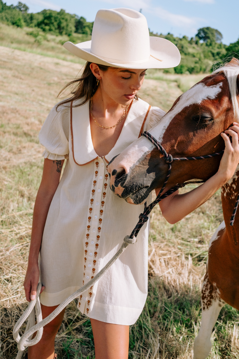 Gabby Collared Mini Dress - Cream